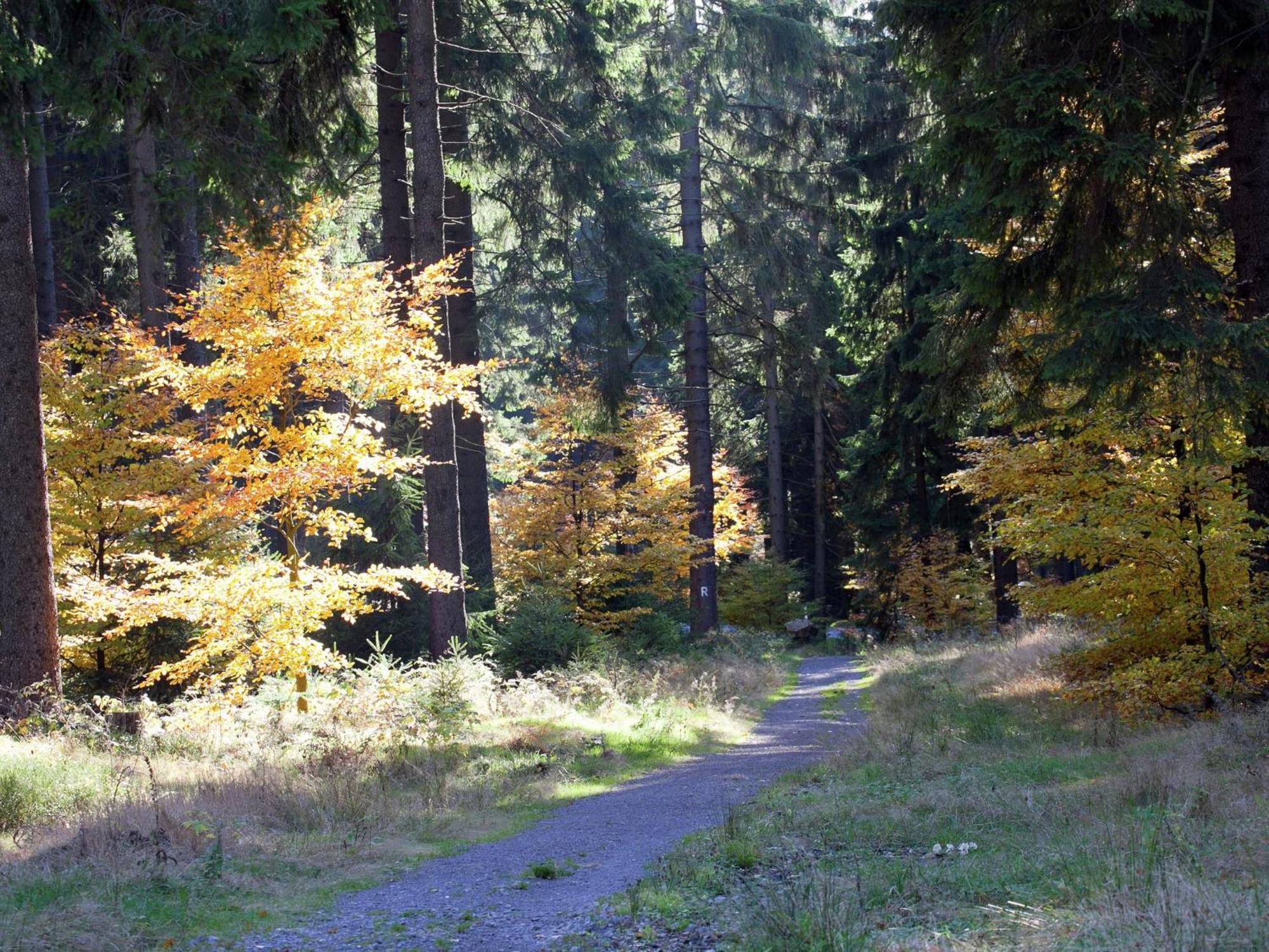 Apartment In Heubach In The Forest Gießübel エクステリア 写真